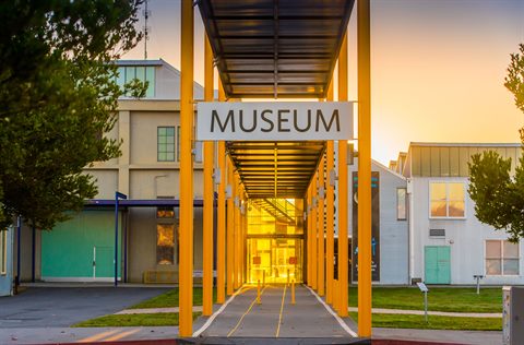 Queen Victoria Museum and Art Gallery (QVMAG)