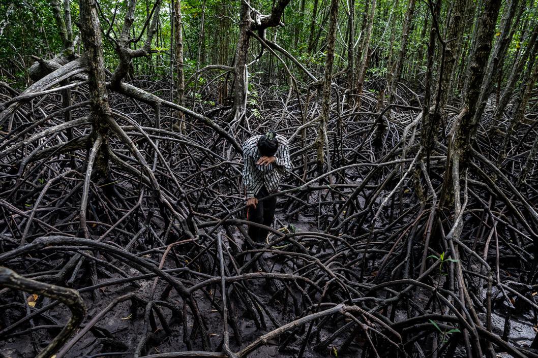 Gambar oleh Safron Rui, “Hutan Bakau Terakhir: Kehilangan dan Pemulihan Hutan Bakau” (2023) – Kemboja.