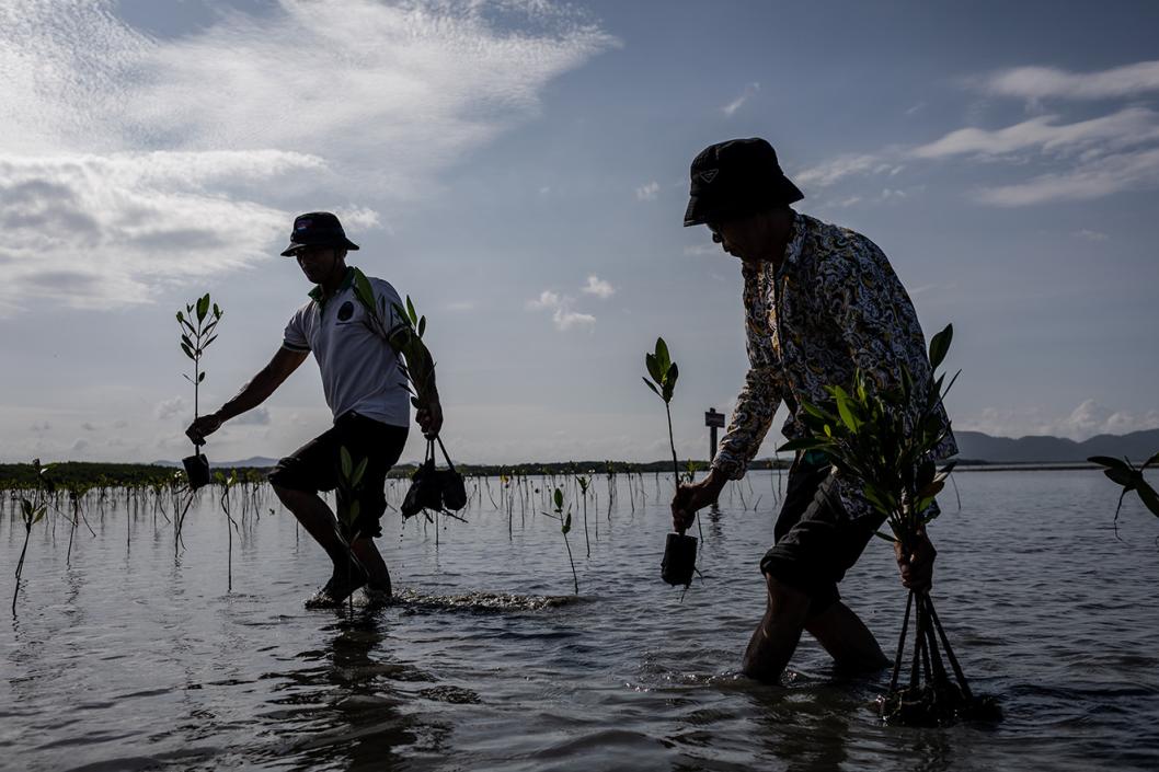Gambar oleh Safron Rui, “Hutan Bakau Terakhir: Kehilangan dan Pemulihan Hutan Bakau” (2023) – Kemboja.