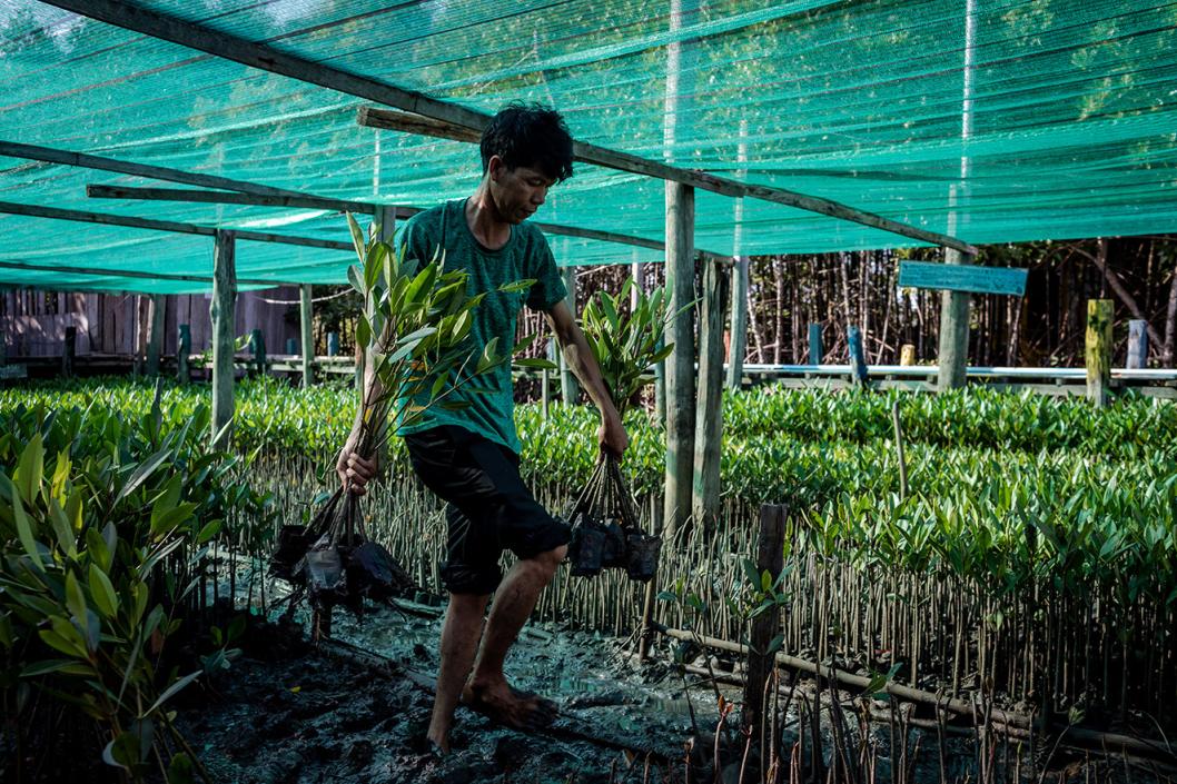 Gambar oleh Safron Rui, “Hutan Bakau Terakhir: Kehilangan dan Pemulihan Hutan Bakau” (2023) – Kemboja.