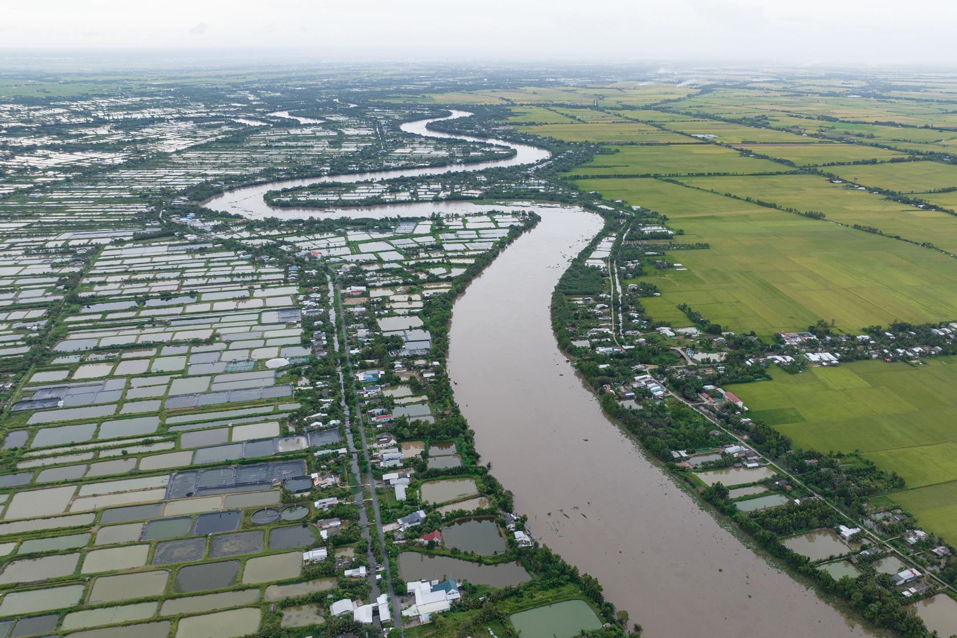 Photos by Nguyễn Thanh Huế, The Shrimp Hugs the Rice Plant (2023) – Vietnam