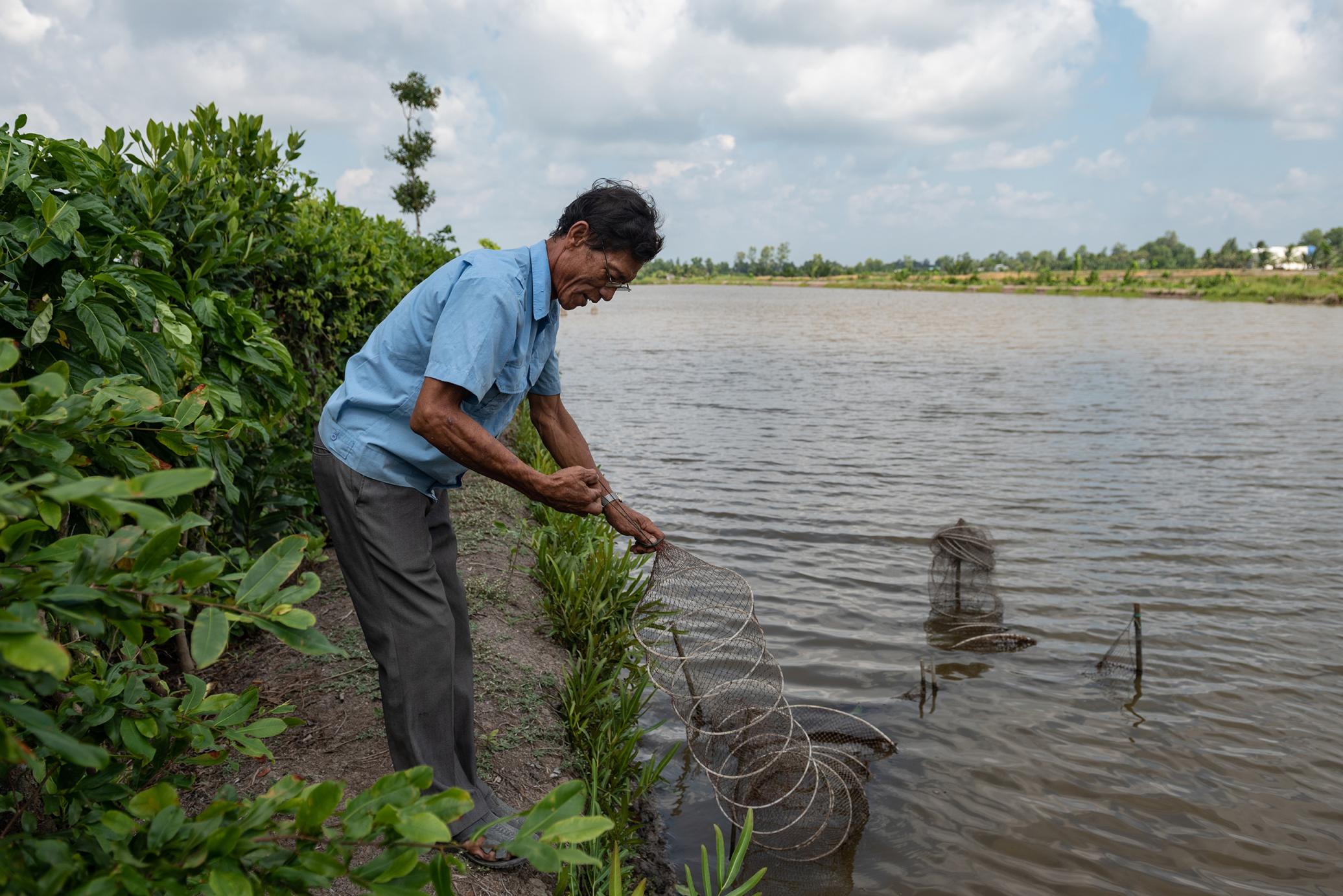 Photos by Nguyễn Thanh Huế, The Shrimp Hugs the Rice Plant (2023) – Vietnam