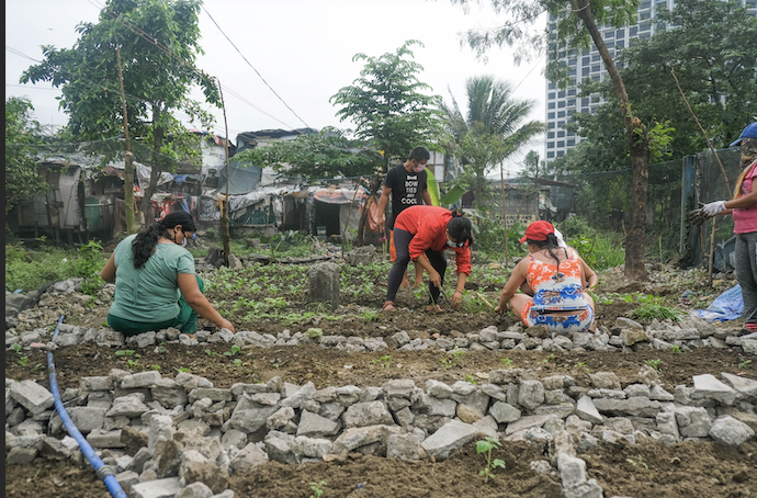 Community Gardens (Hardin ng Komunidad)